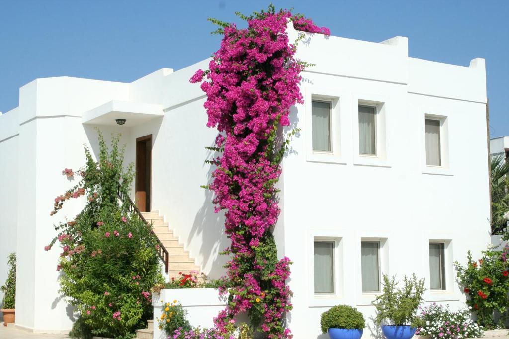 Seckin Konaklar Bodrum Ngoại thất bức ảnh