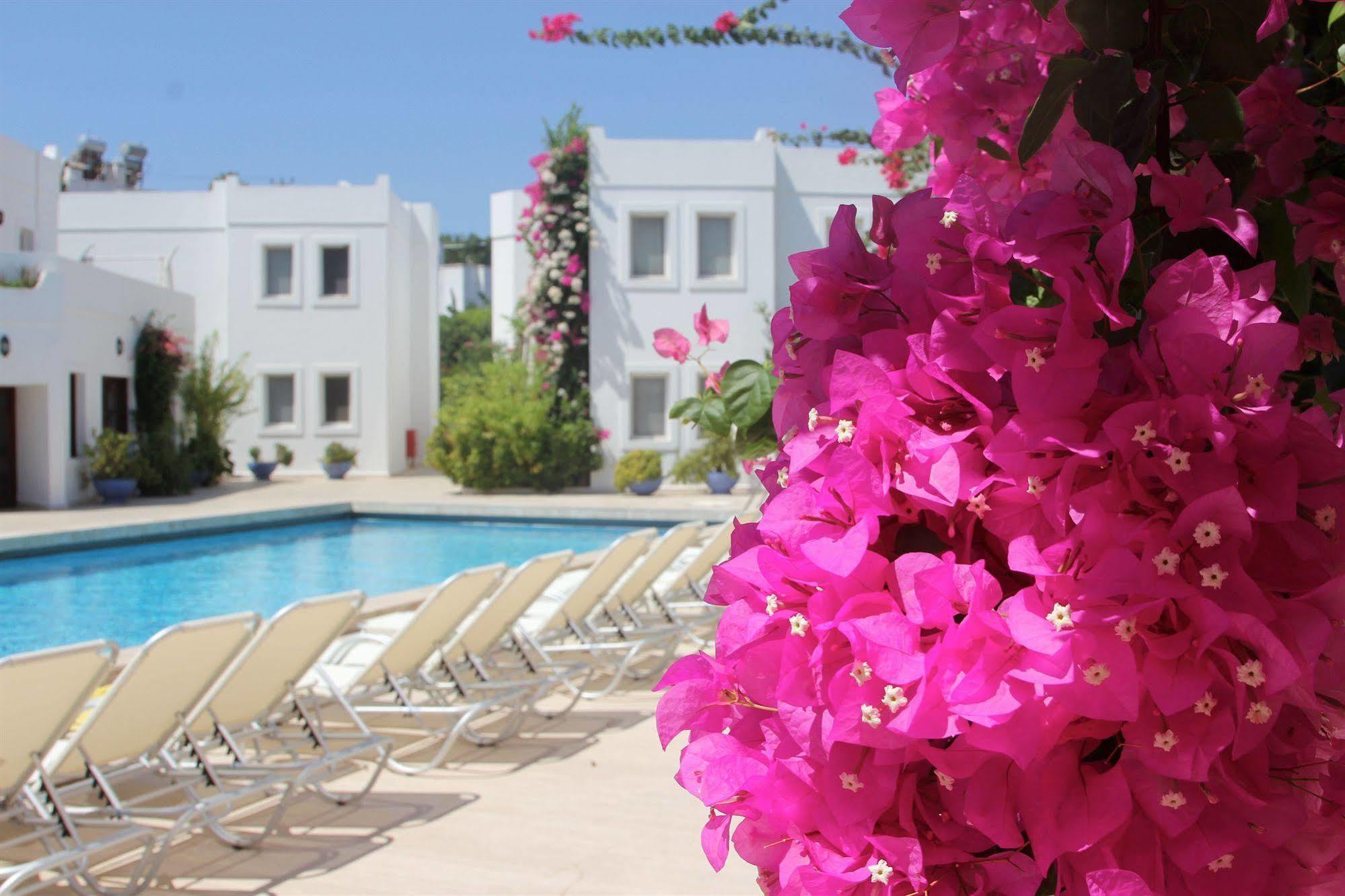 Seckin Konaklar Bodrum Ngoại thất bức ảnh